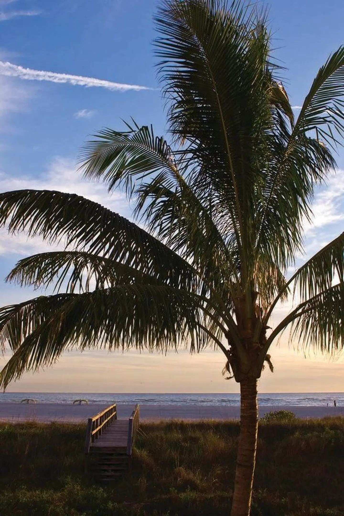 Residence Inn by Marriott St. Petersburg Treasure Island Strand