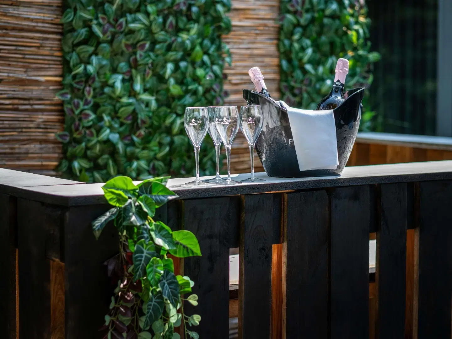 ibis Styles Linz Hotel Garten