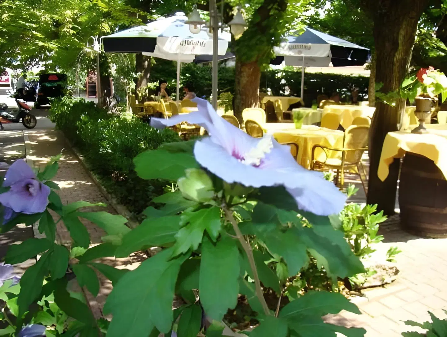 Ott's Leopoldshöhe Hotel & Restaurant Garten