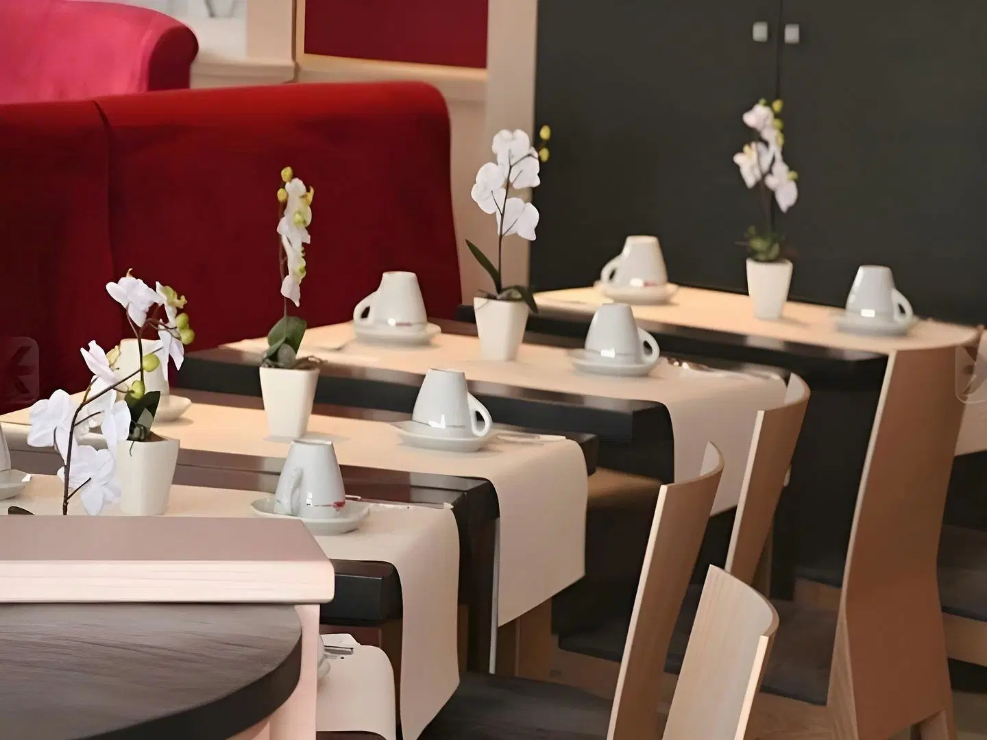 Hôtel de Suède Restaurant