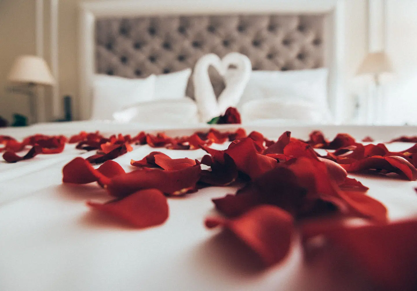 Holiday Inn - the niu, Flower Konstanz ROOM_EXAMPLE