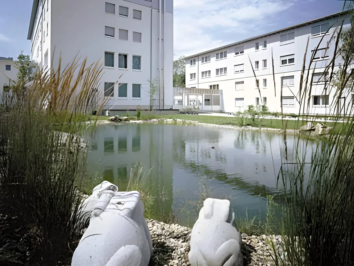 Am Froschbächel Terrasse