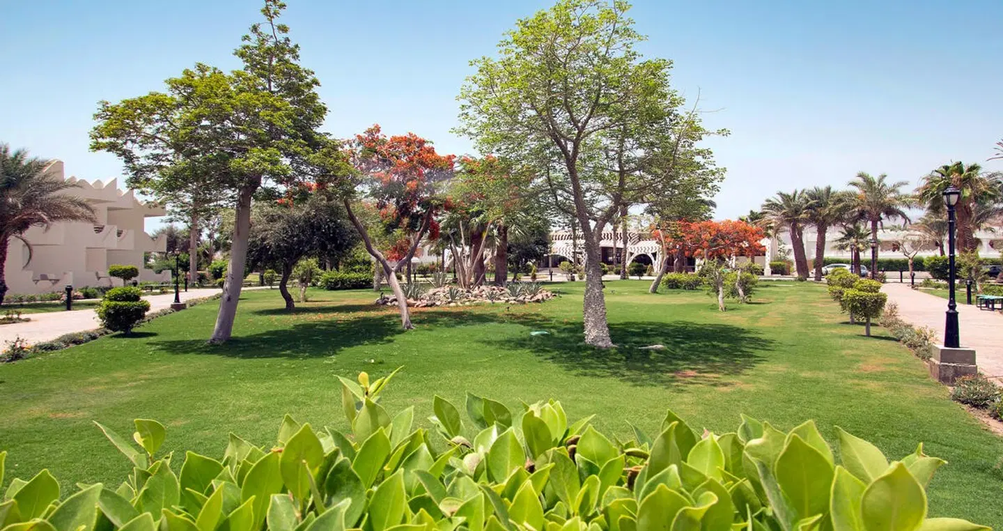 Swiss Inn Resort Dahab Garten