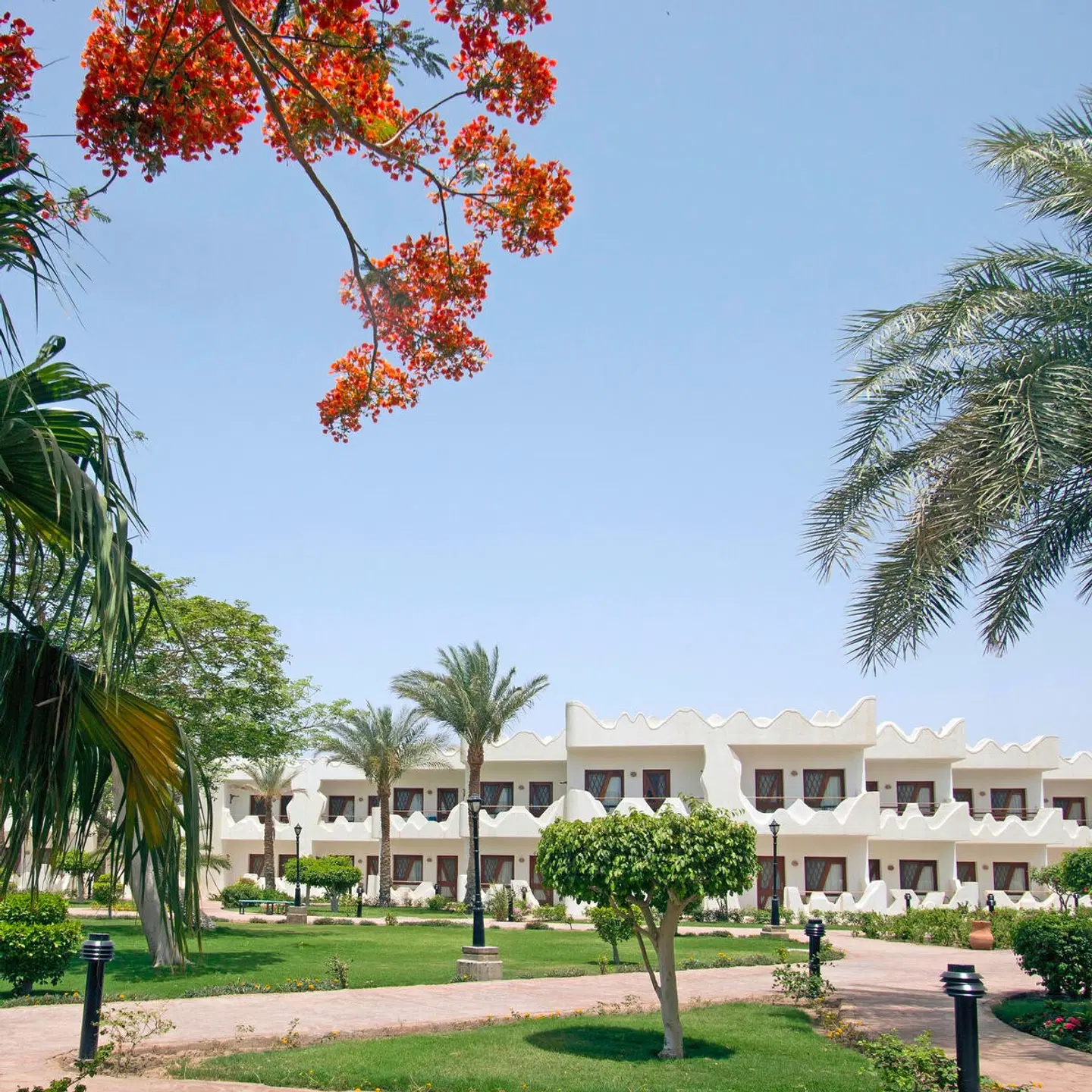 Swiss Inn Resort Dahab Garten