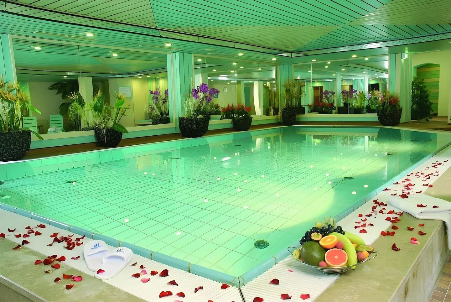 Maritim Parkhotel Mannheim Hallenbad