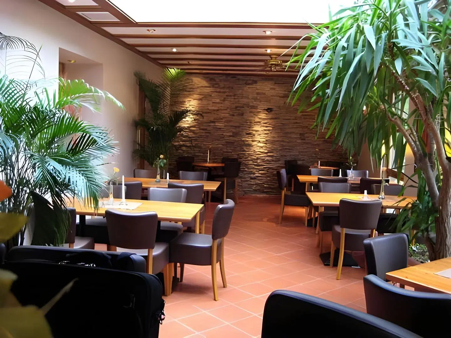 Scheid Terrasse