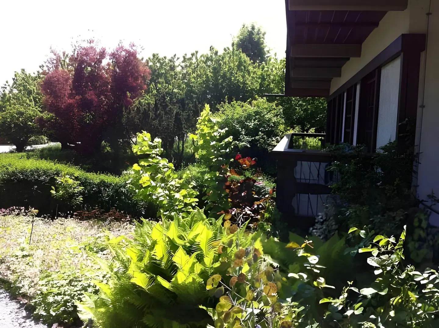 Obsthof Garten
