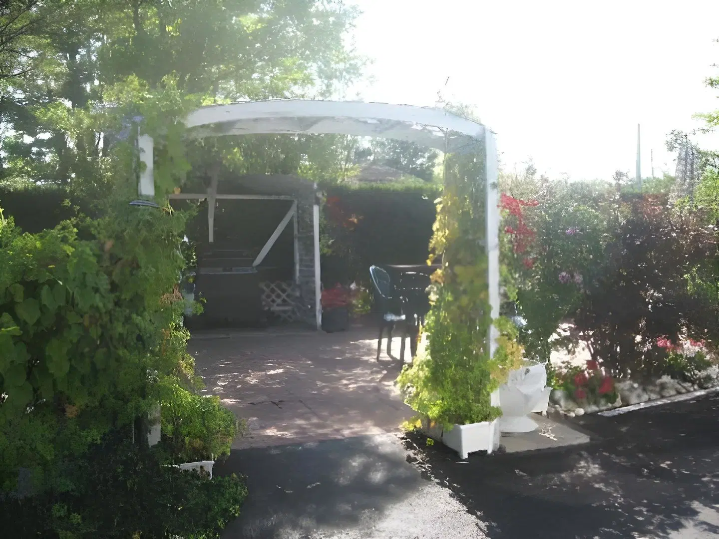 Blue Moon Motel Garten