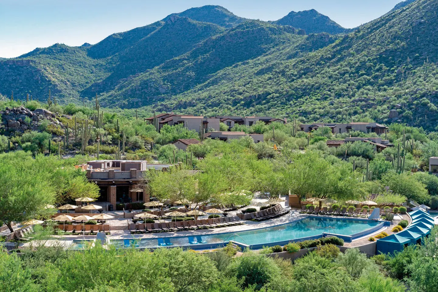 The Ritz-Carlton, Dove Mountain LANDSCAPE