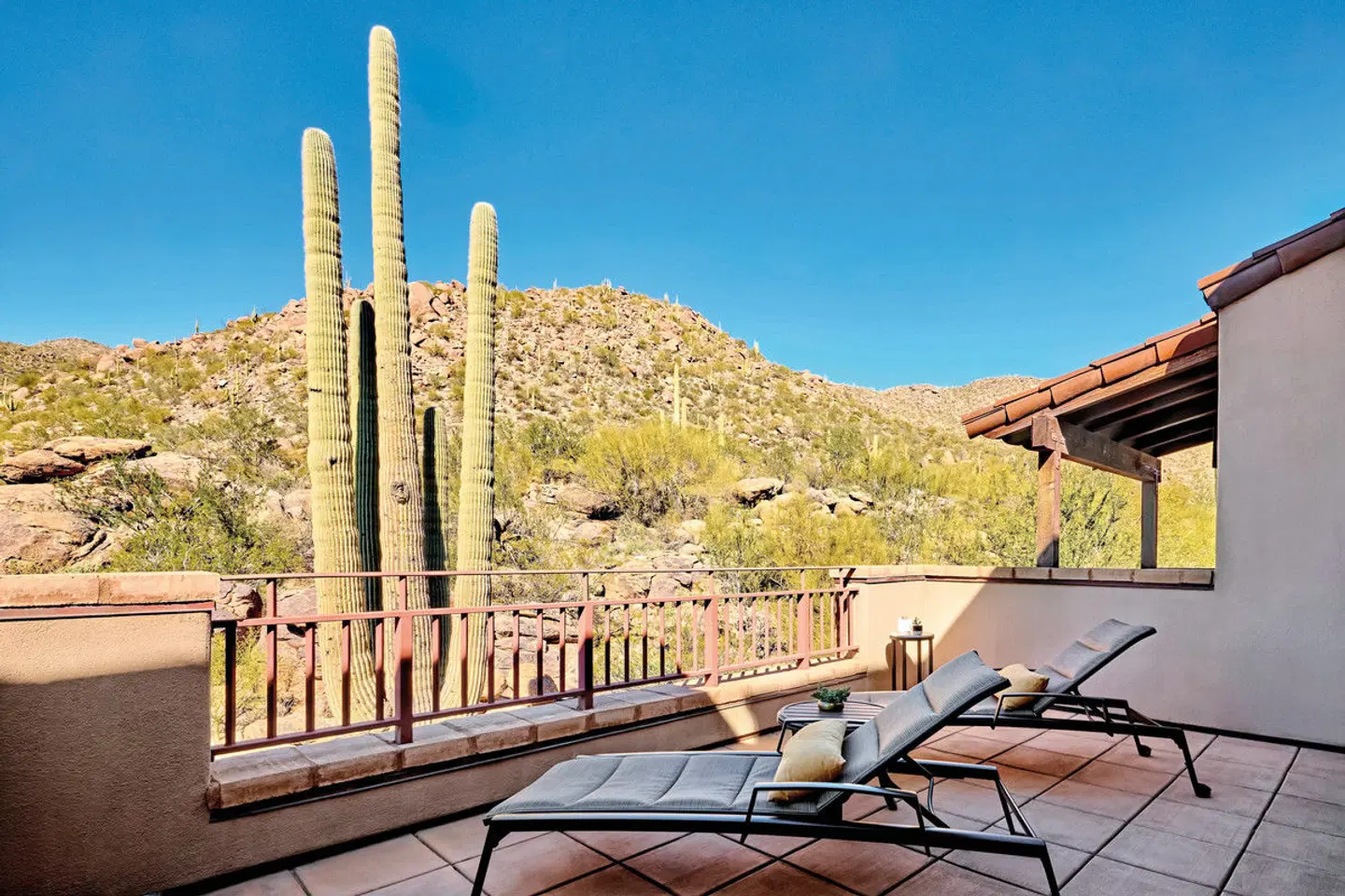 The Ritz-Carlton, Dove Mountain Terrasse