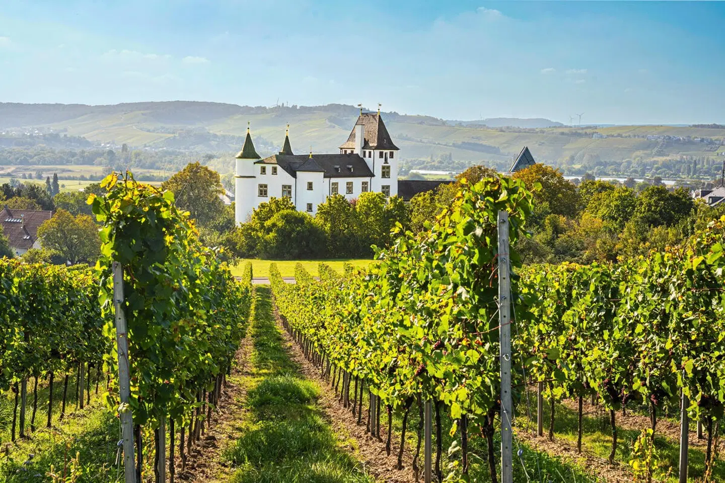 Victor's Residenz-Hotel Schloss Berg LANDSCAPE