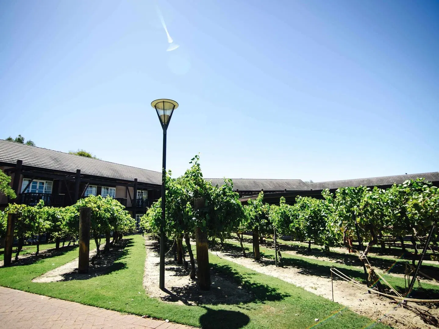 Novotel Swan Valley Vines Resort Hotel Garten