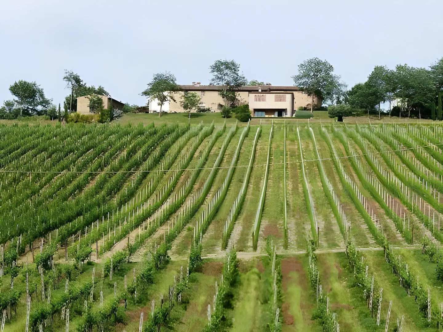 Il Rosolaccio LANDSCAPE