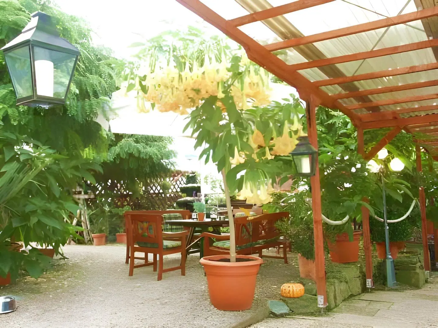Moselromantik Hotel Am Panoramabogen Terrasse