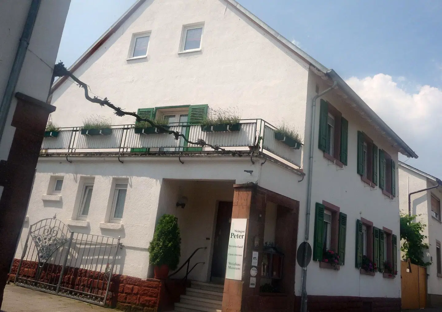 Weingut Gästezimmer Peter EXTERIOR