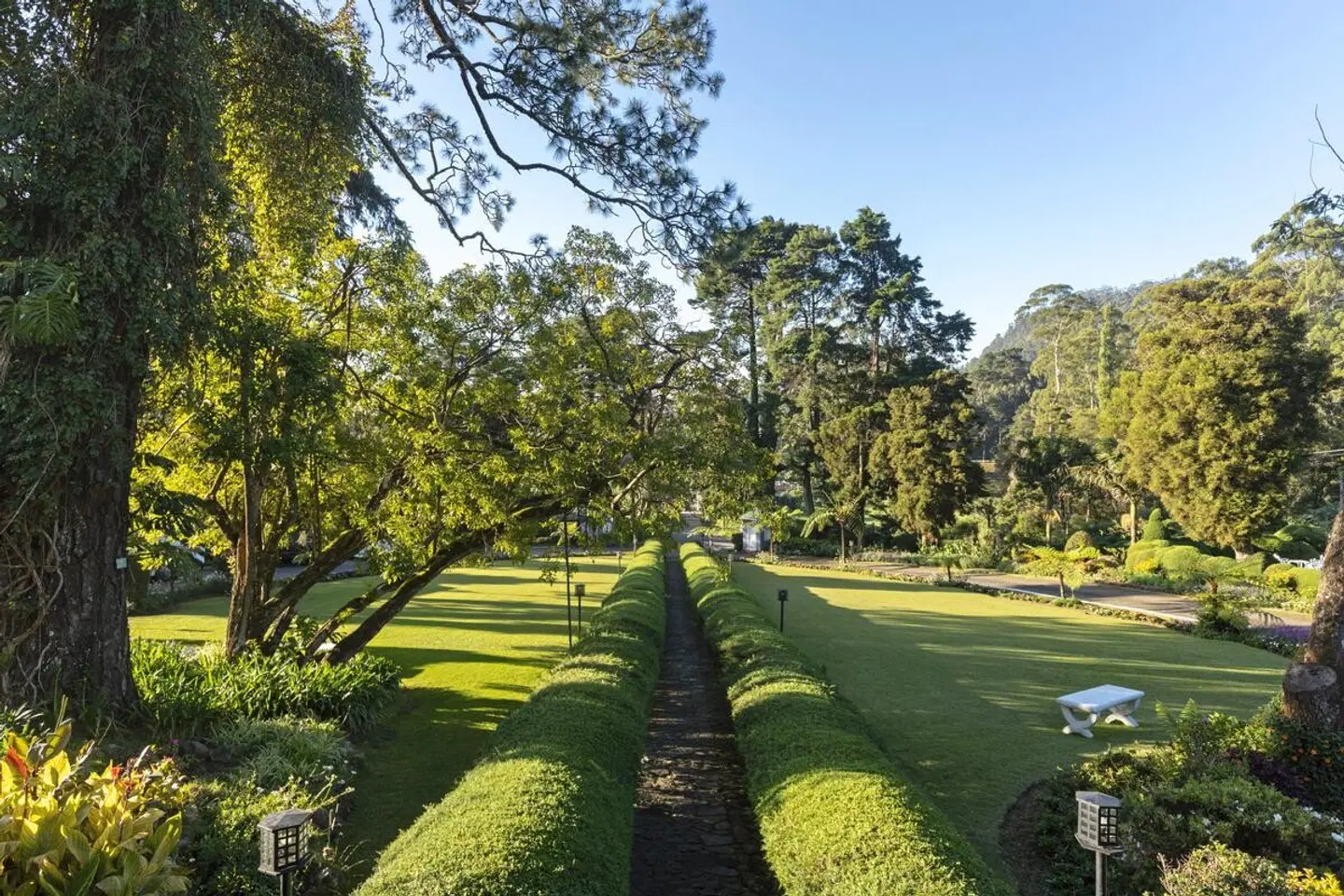 Jetwing St. Andrew's Garten