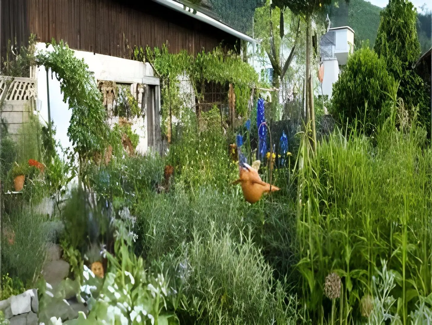 Hotel Gasthof Mohren Garten