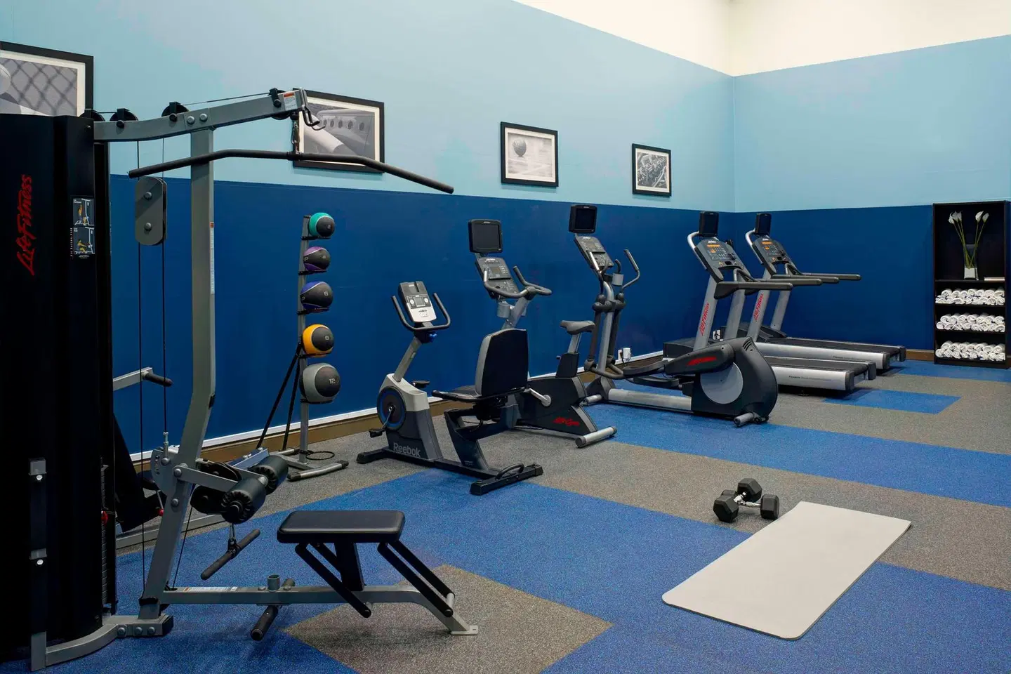 Four Points by Sheraton Detroit Novi SPORTS_AND_LEISURE
