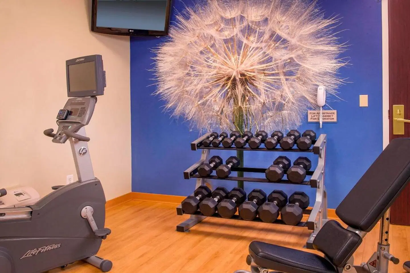 SpringHill Suites by Marriott Raleigh-Durham Airport/Research Triangle Park SPORTS_AND_LEISURE