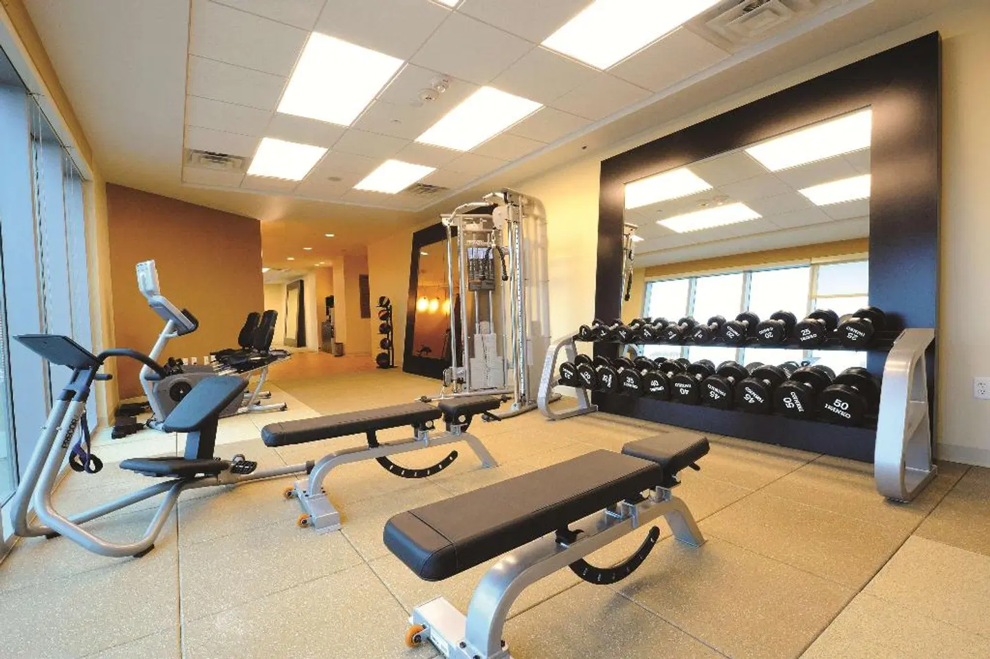 Embassy Suites by Hilton Houston Downtown Convention Center SPORTS_AND_LEISURE