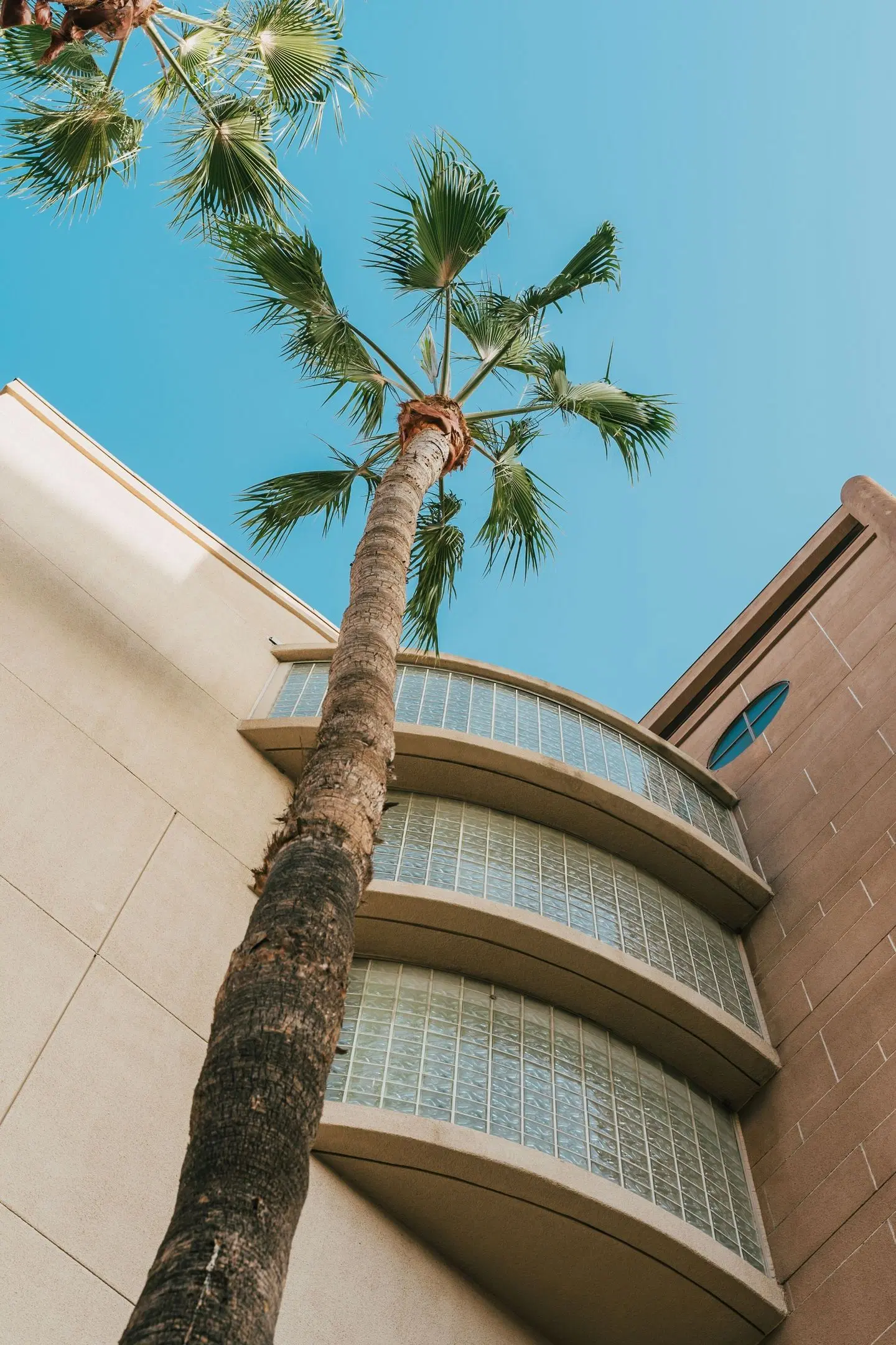 Courtyard by Marriott Los Angeles LAX/Century Boulevard EXTERIOR