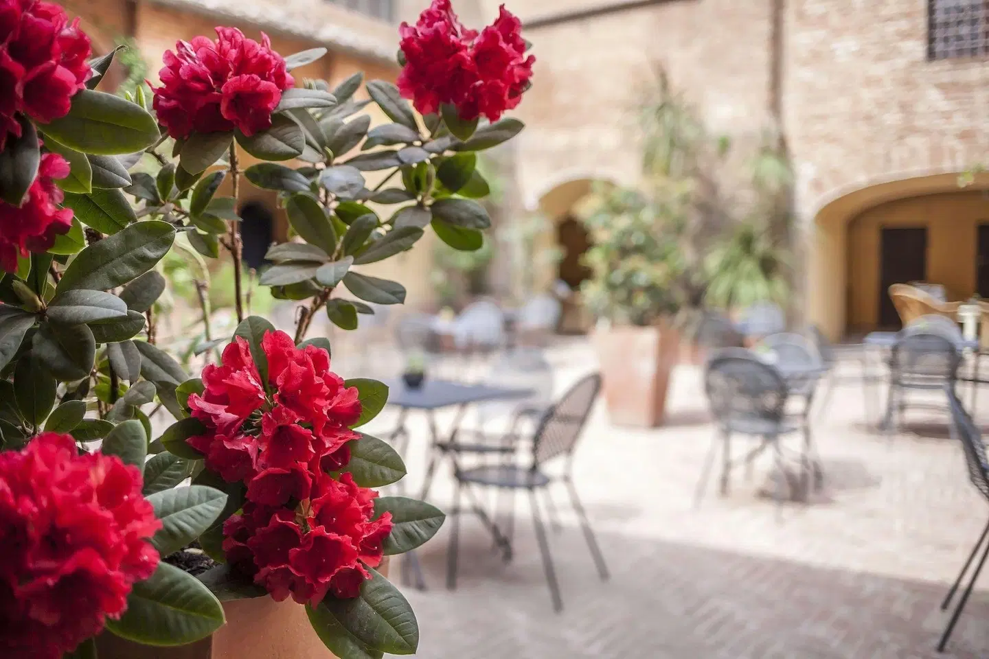 Il Chiostro Del Carmine Terrasse