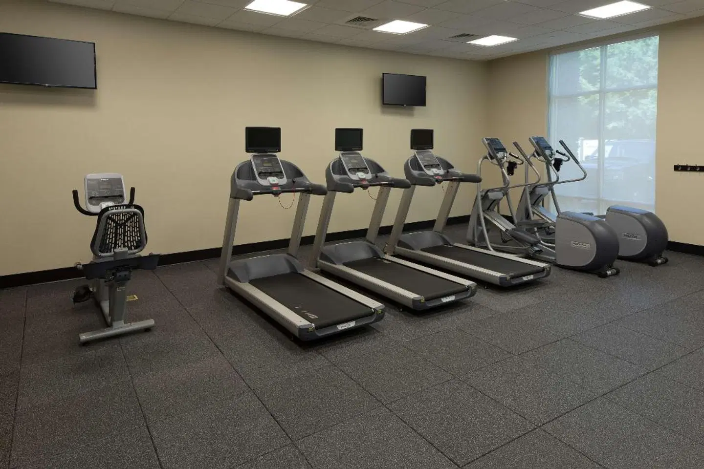 Hampton Inn & Suites Asheville Biltmore Village SPORTS_AND_LEISURE