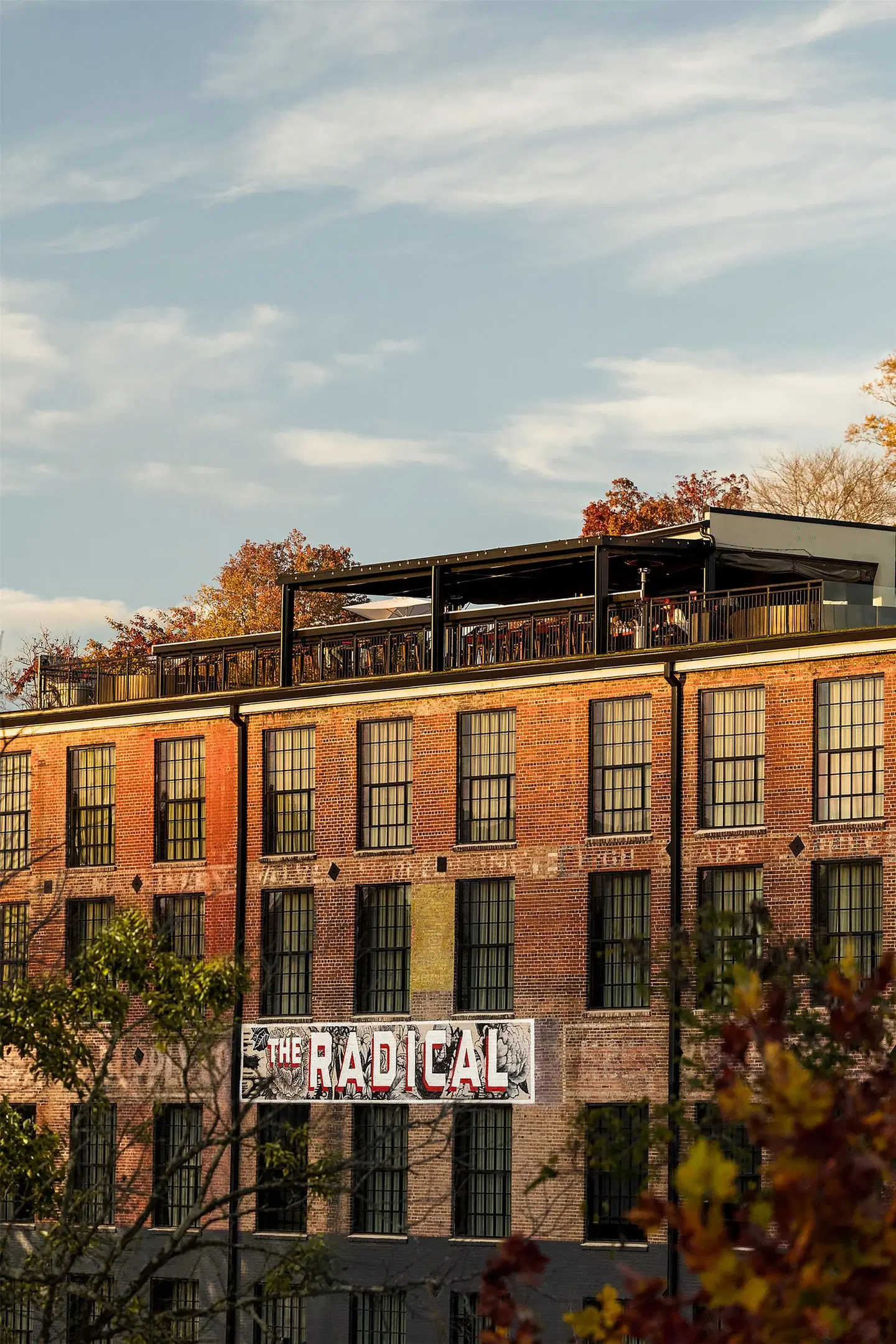 The Radical EXTERIOR