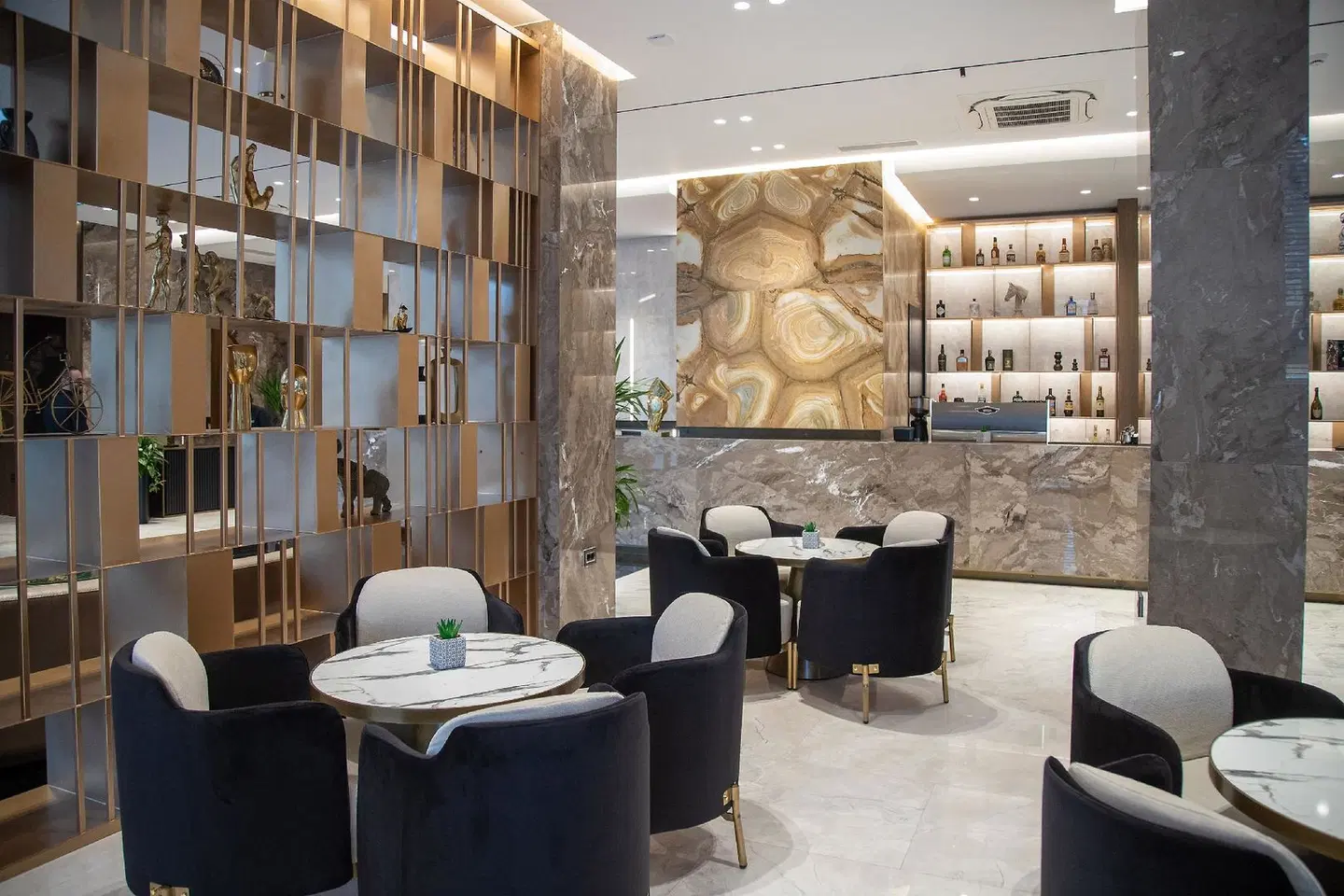 Hotel Elisa Tirana, Affiliated by Meliá LOUNGE_LOBBY