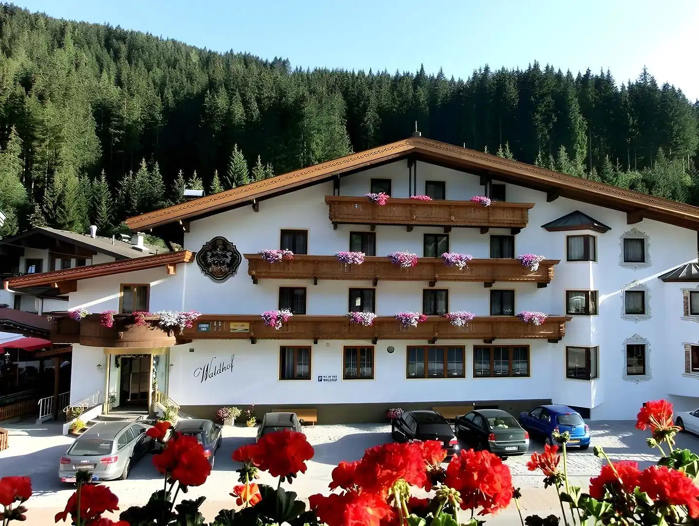 Waldhof – Hotelfoto