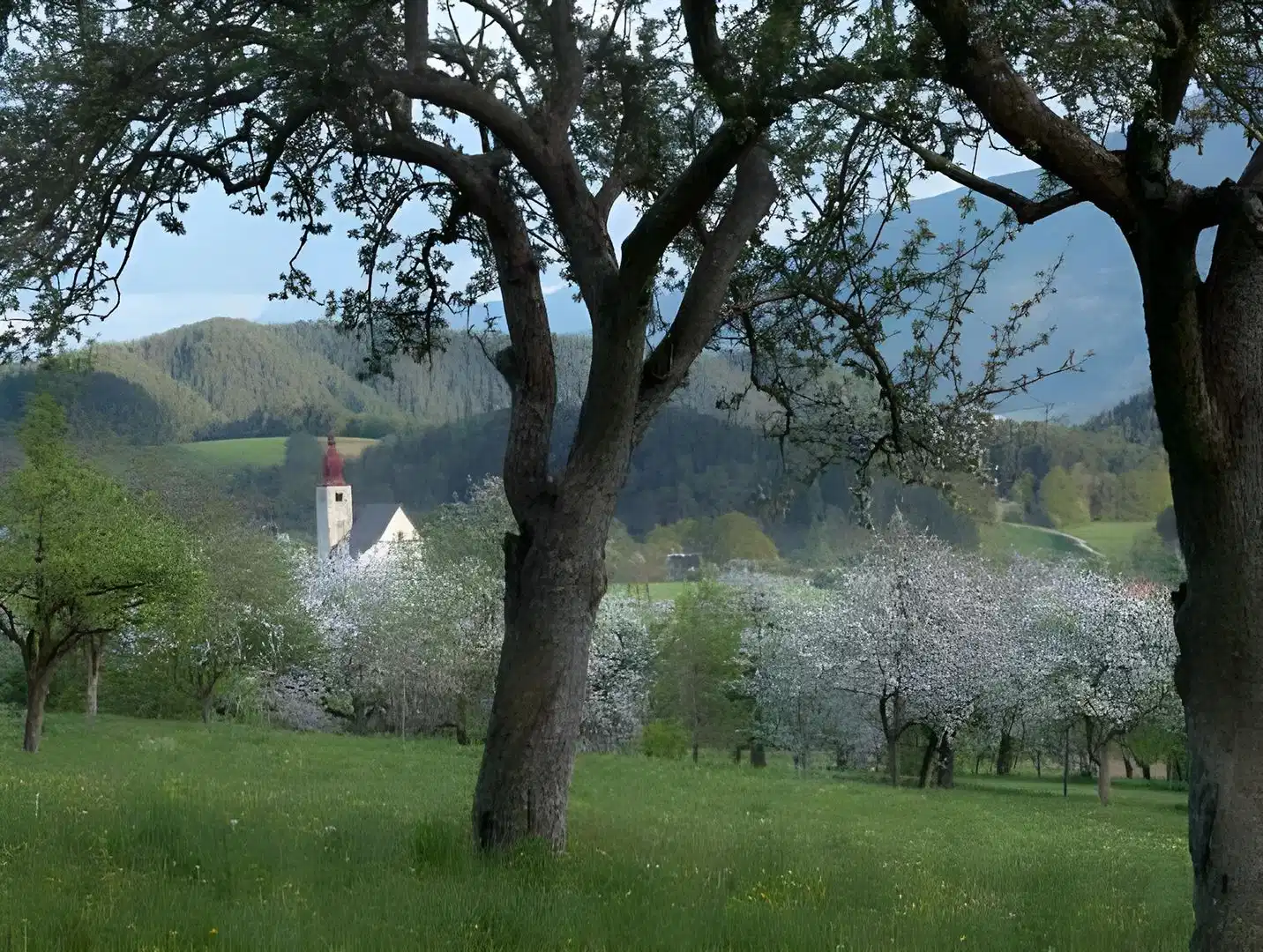 Burgstaller – Hotelfoto