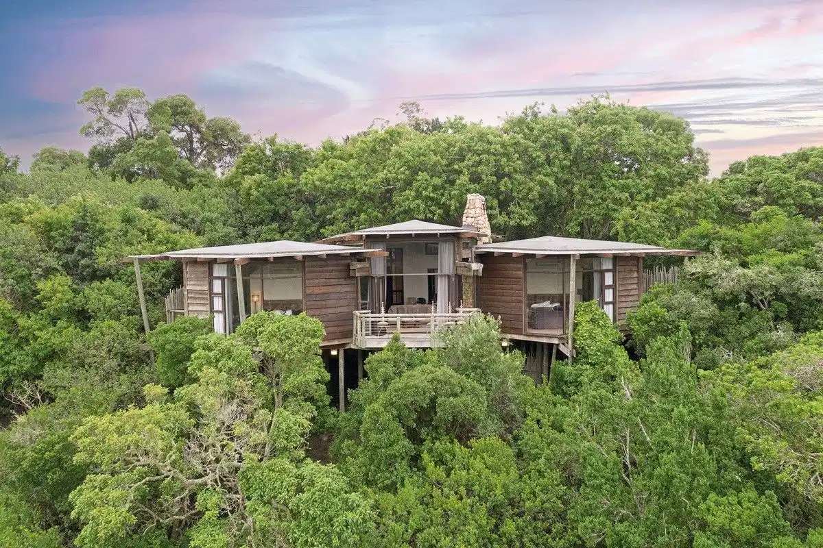Tsala Treetop Lodge – Hotelfoto