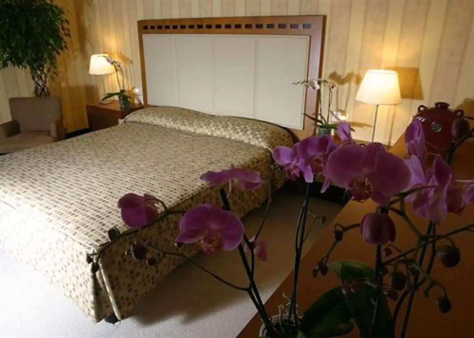 Maggior Consiglio – Hotelfoto