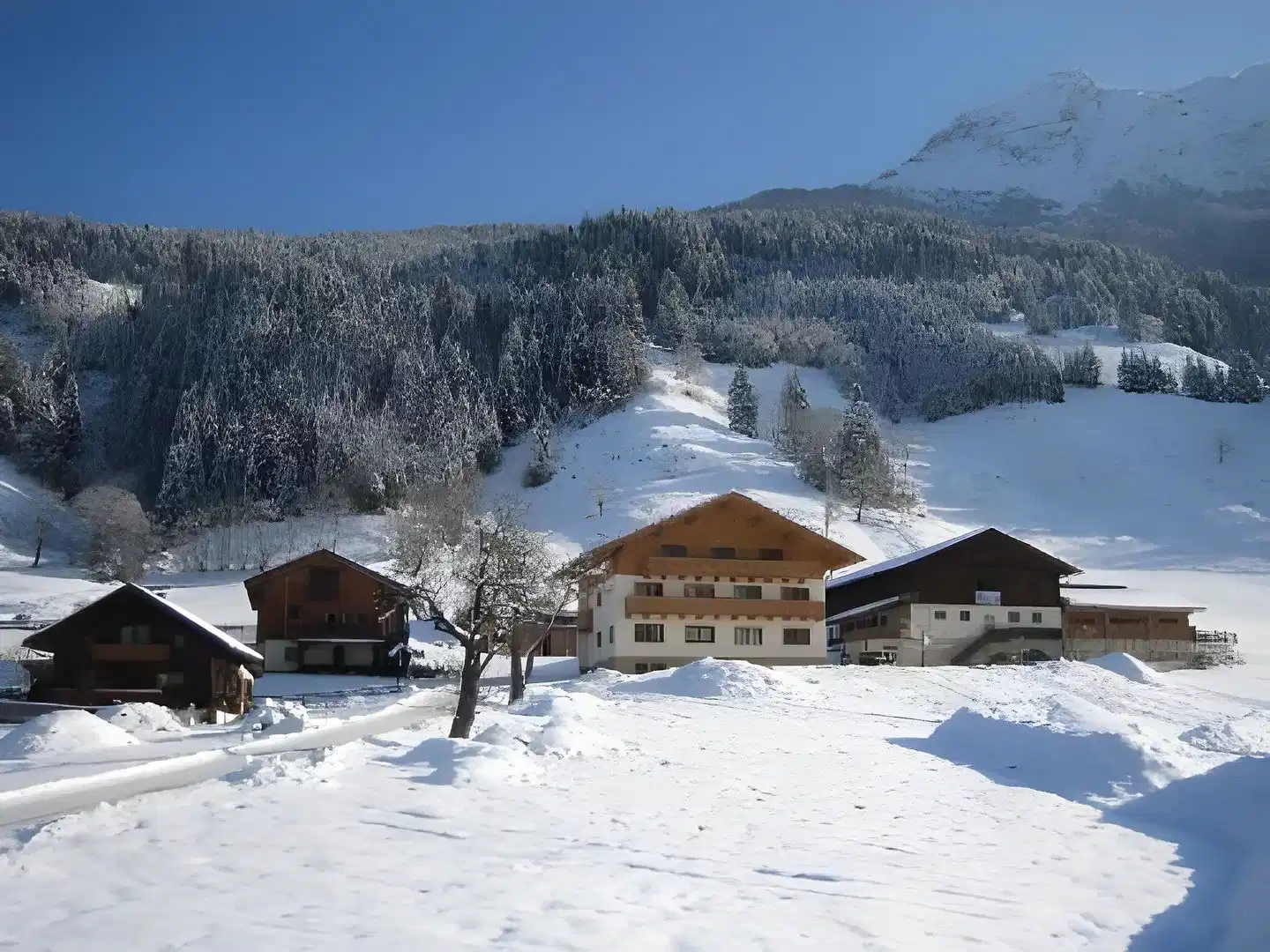 Ferienbauernhof Schwabhof – Hotelfoto