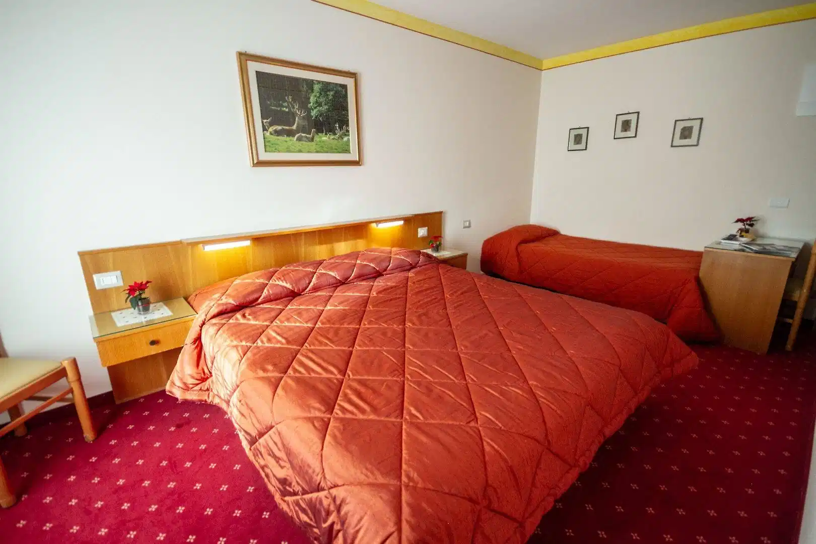 Hotel Stella Alpina – Hotelfoto