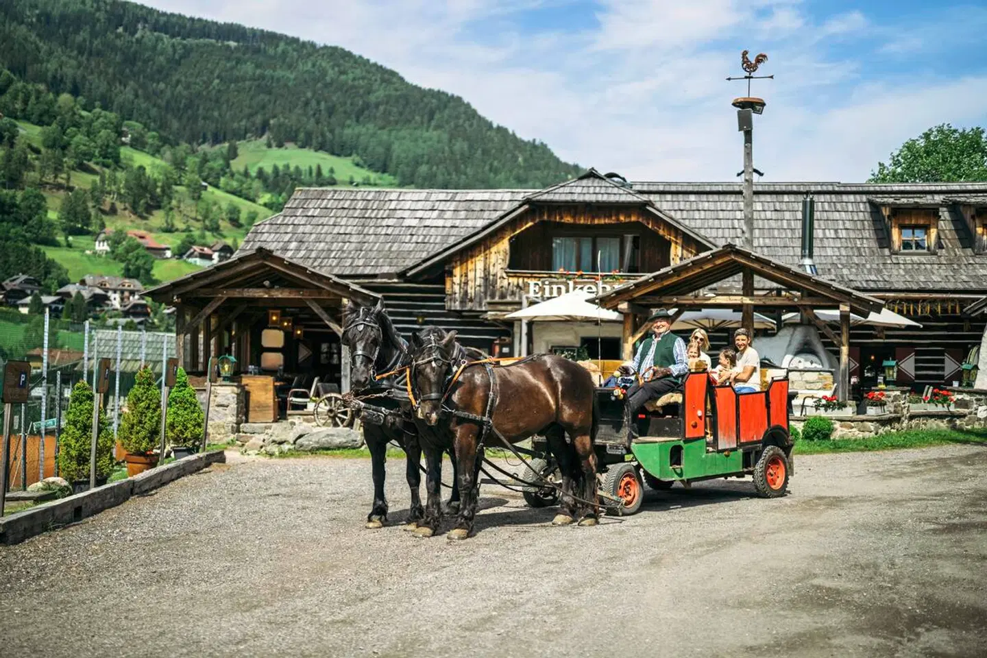 Trattlerhof Tiere