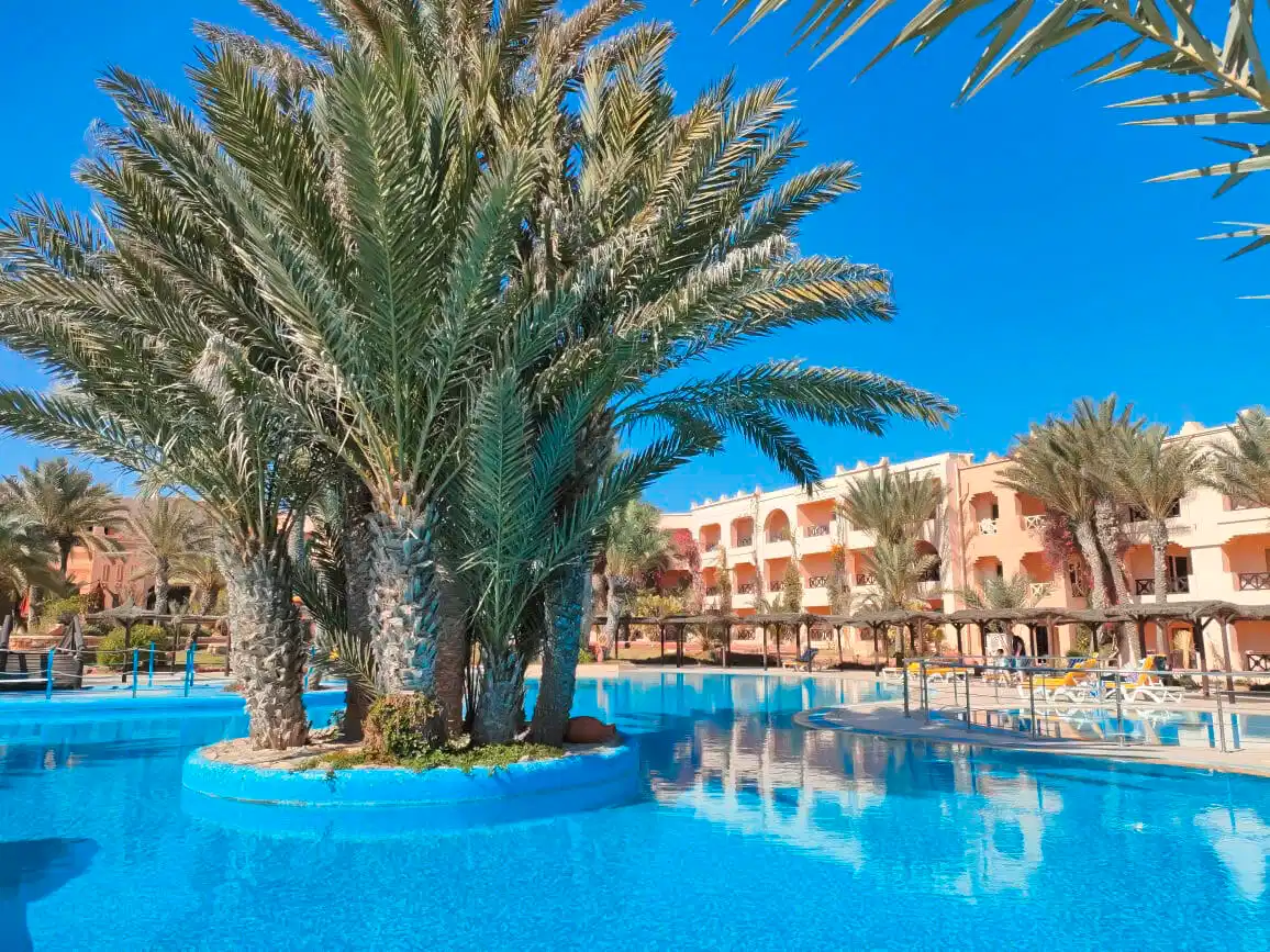 Vincci Safira Palms – Hotelfoto