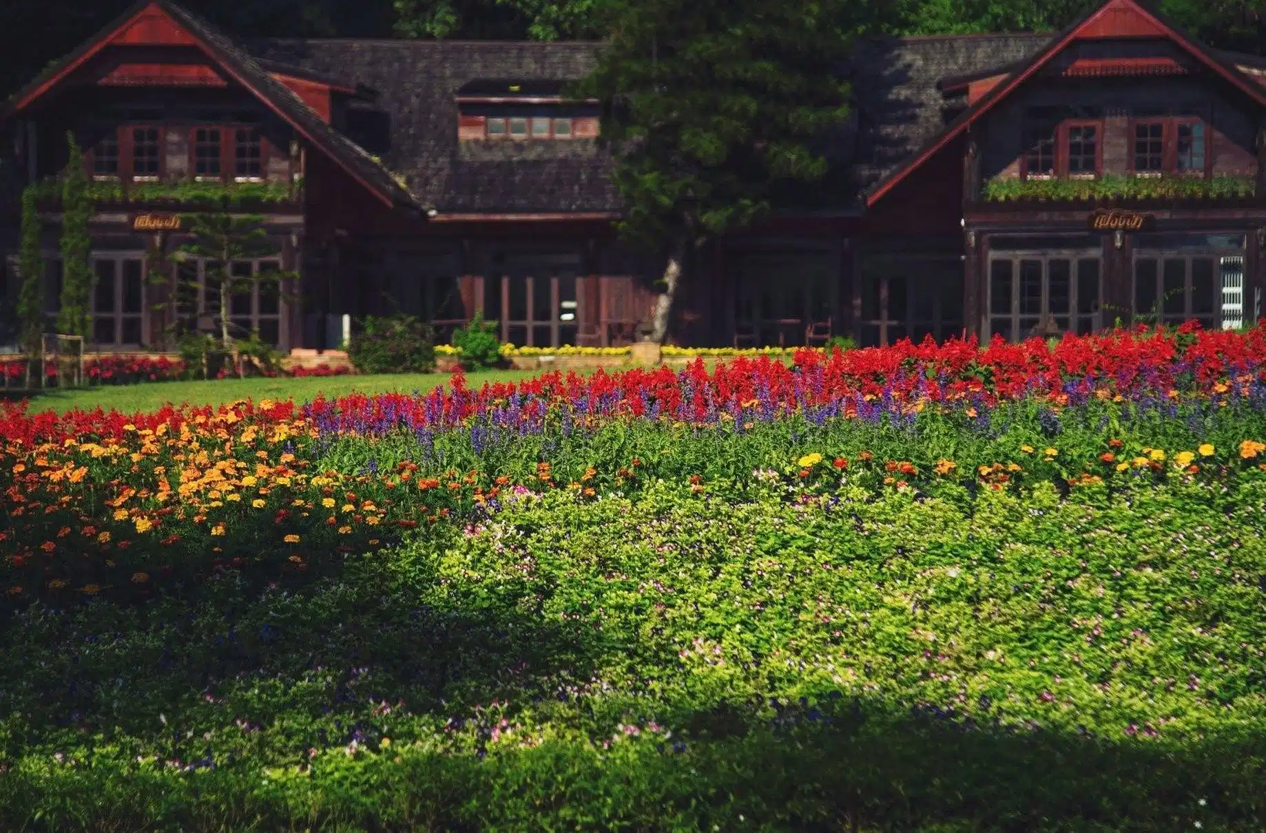 Flora Creek Chiang Mai – Hotelfoto