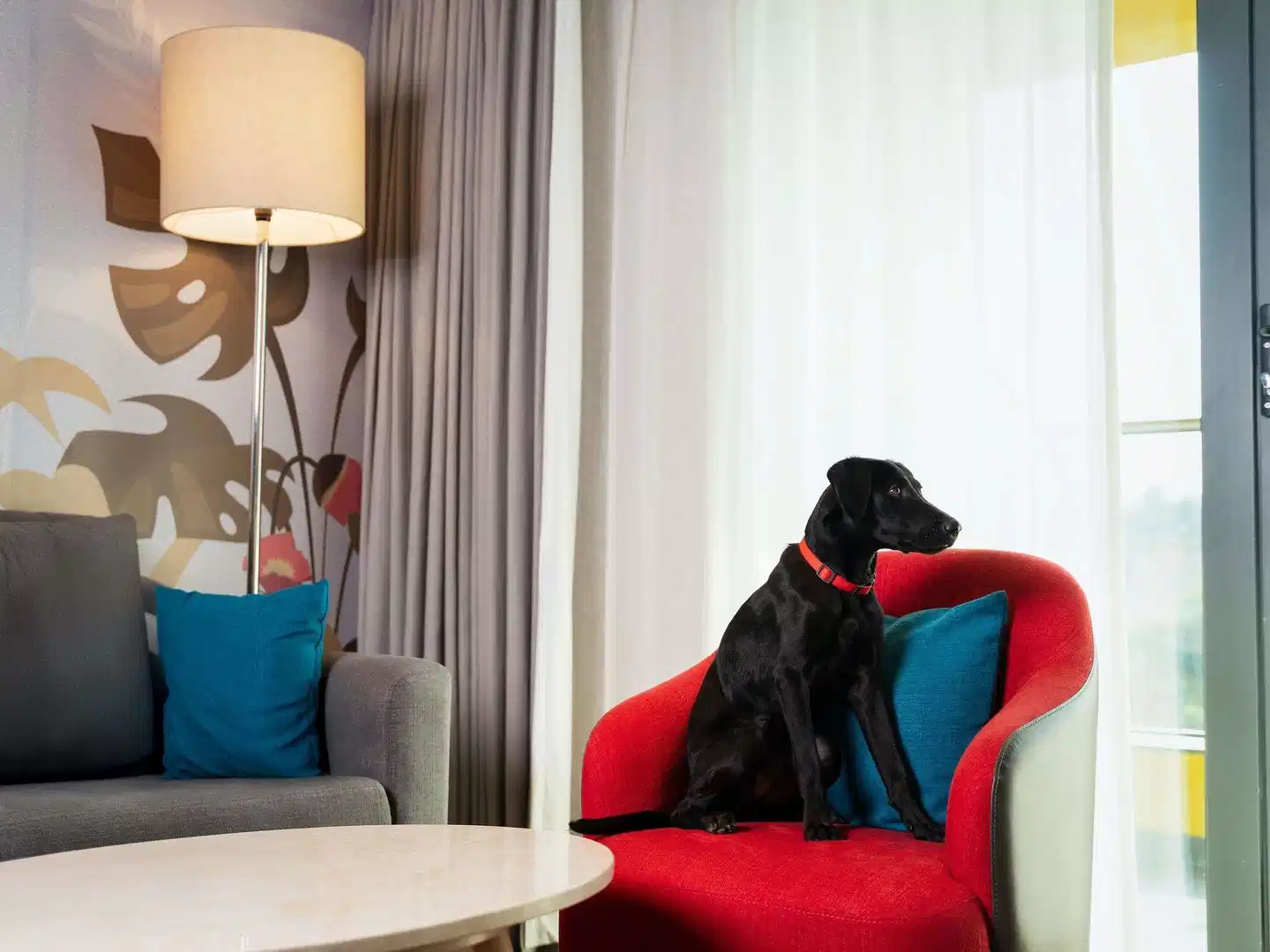 ibis Styles Mysuru – Hotelfoto