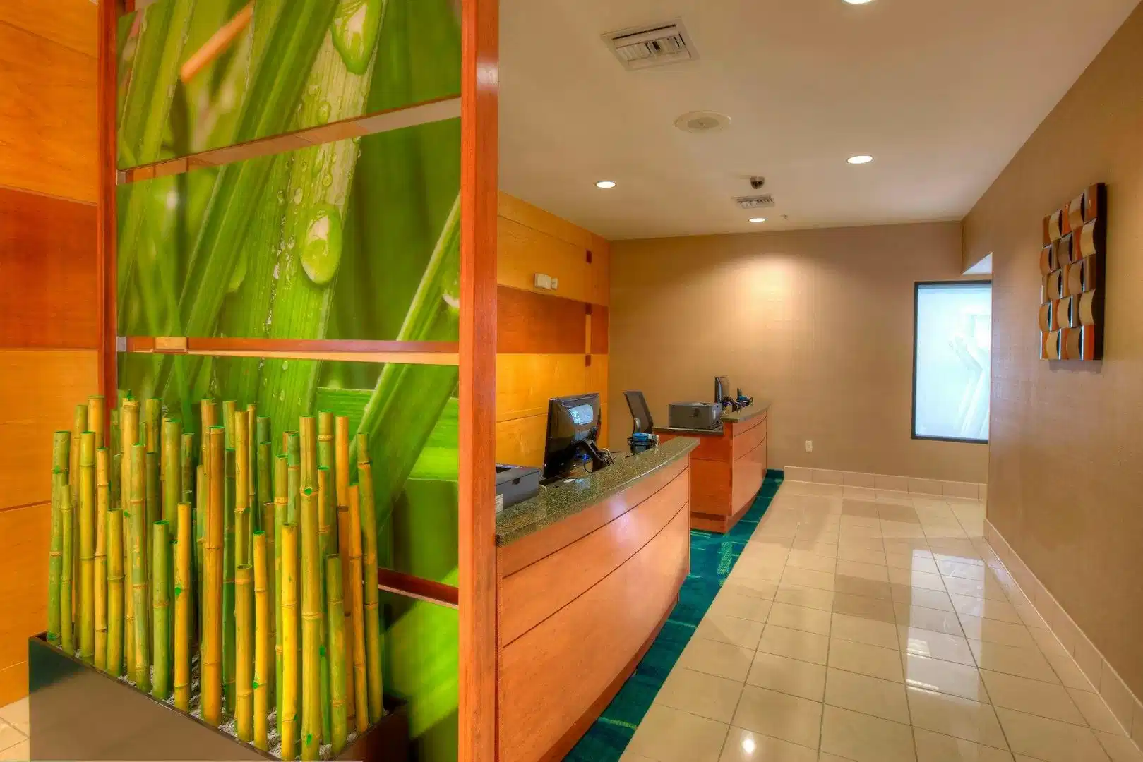 SpringHill Suites by Marriott Tampa Brandon – Hotelfoto