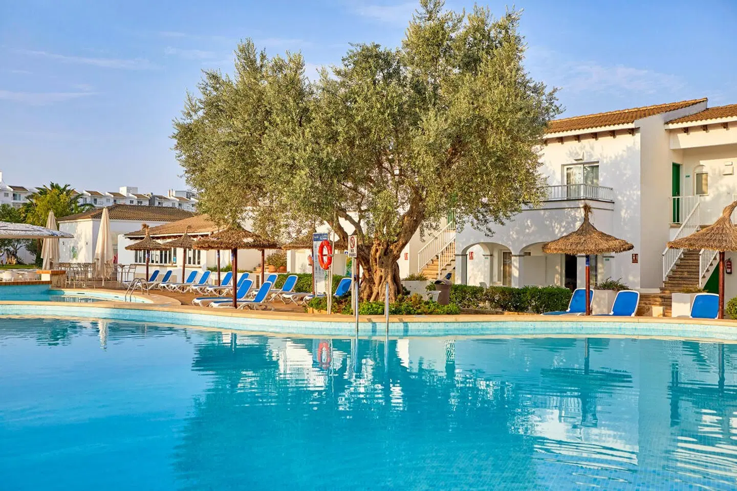 Seaclub Alcudia OUTDOOR_POOL