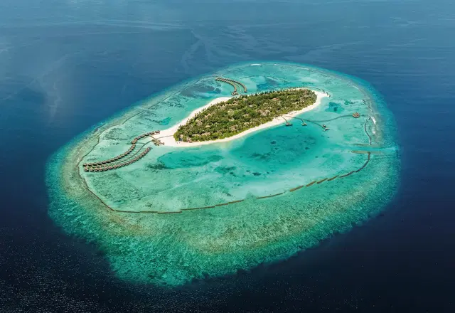 Sun Siyam Iru Fushi Maldives ANIMAL