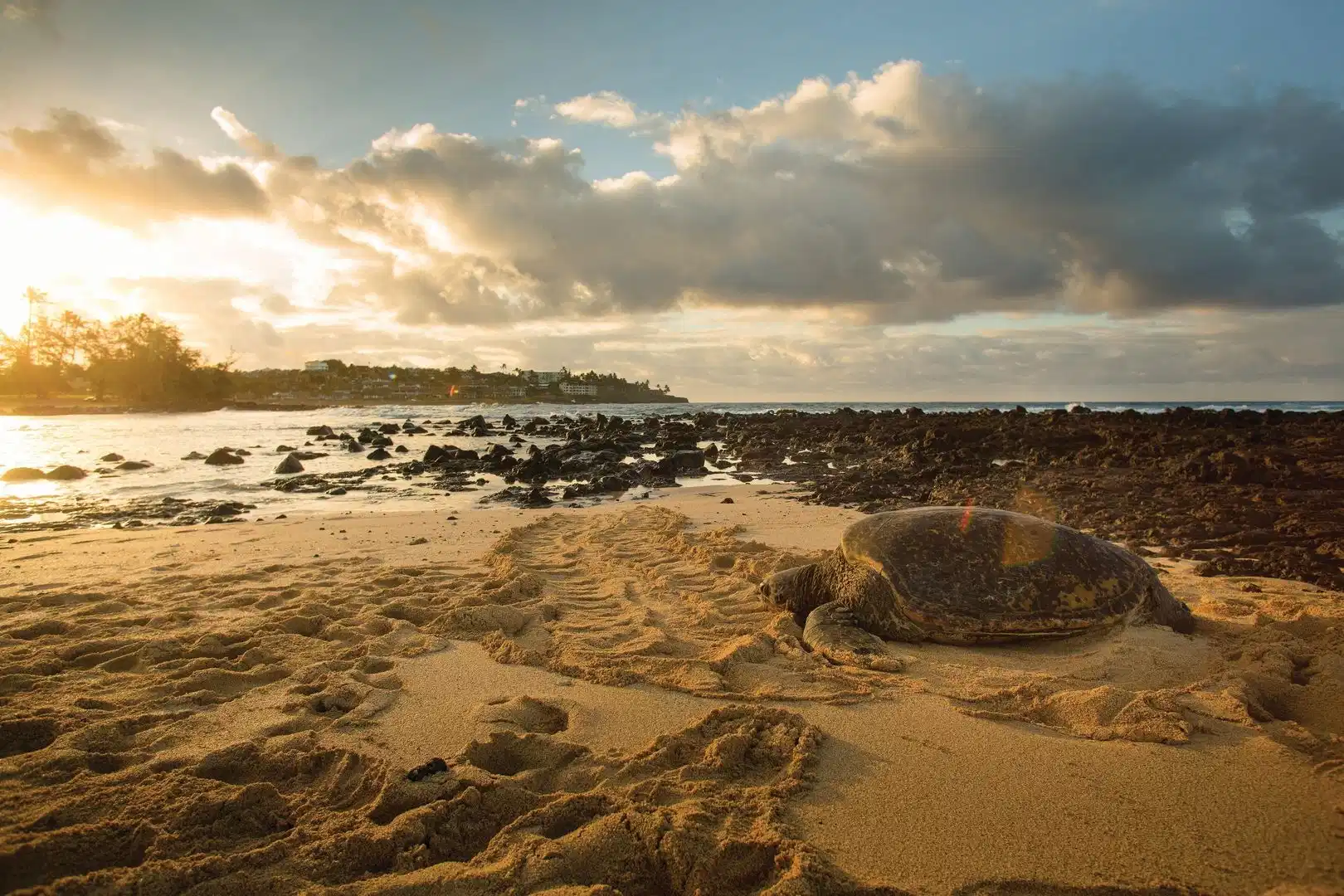 Marriott's Waiohai Beach Club – Hotelfoto