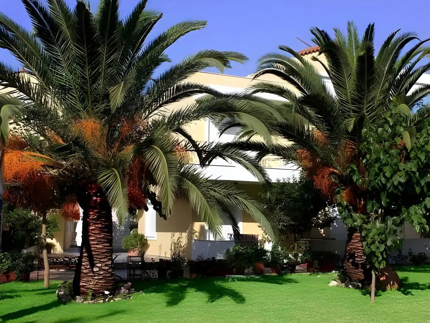 Athena Hotel – Hotelfoto