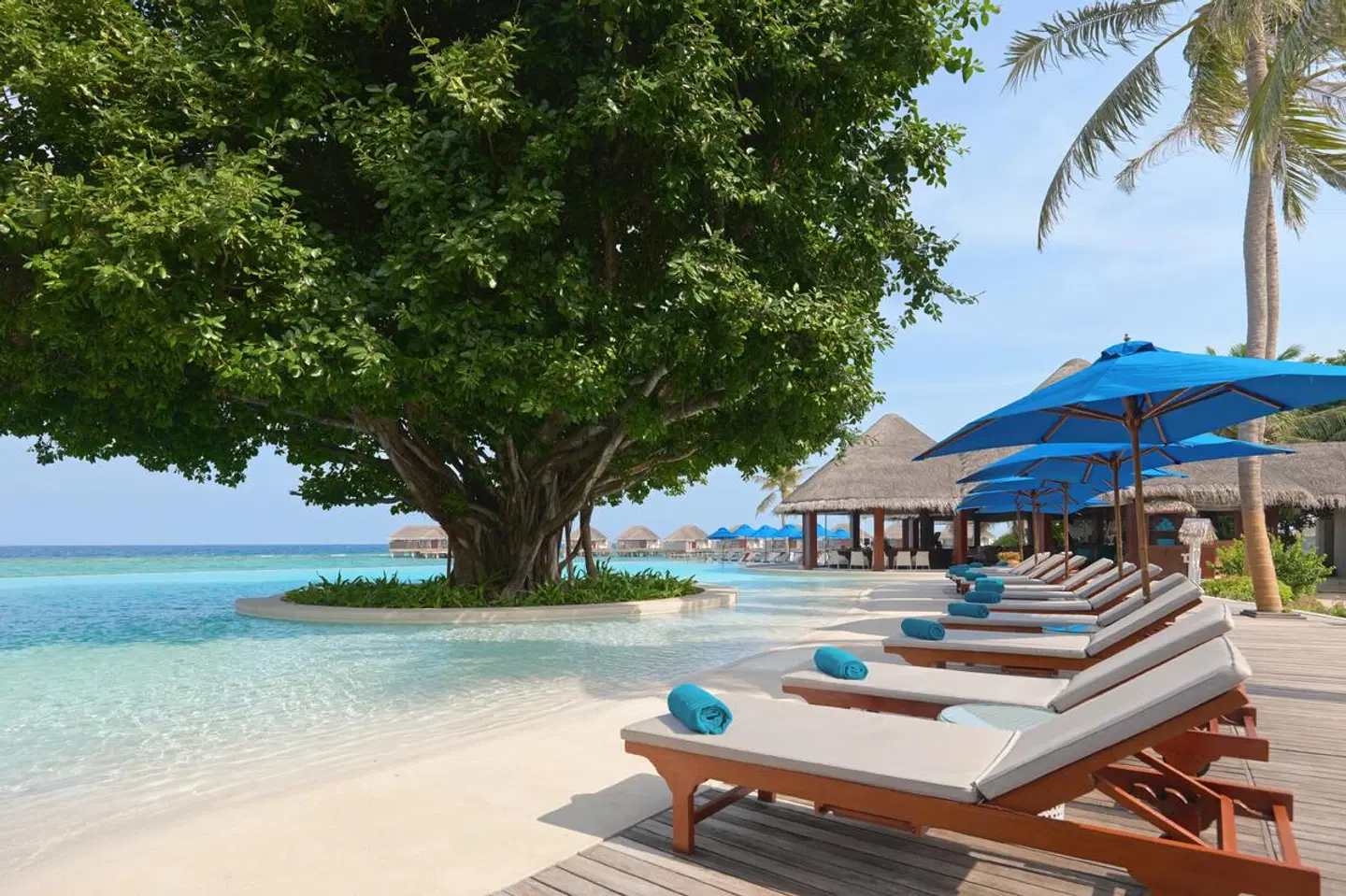 Dusit Thani Maldives OUTDOOR_POOL