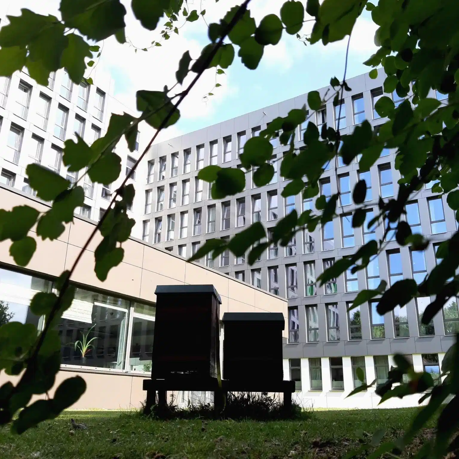 sylc. Apartmenthotel – Hotelfoto