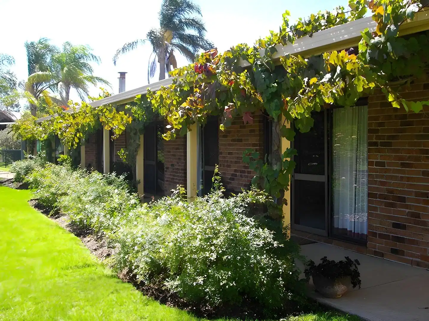 Woolshed Hill Estate – Hotelfoto
