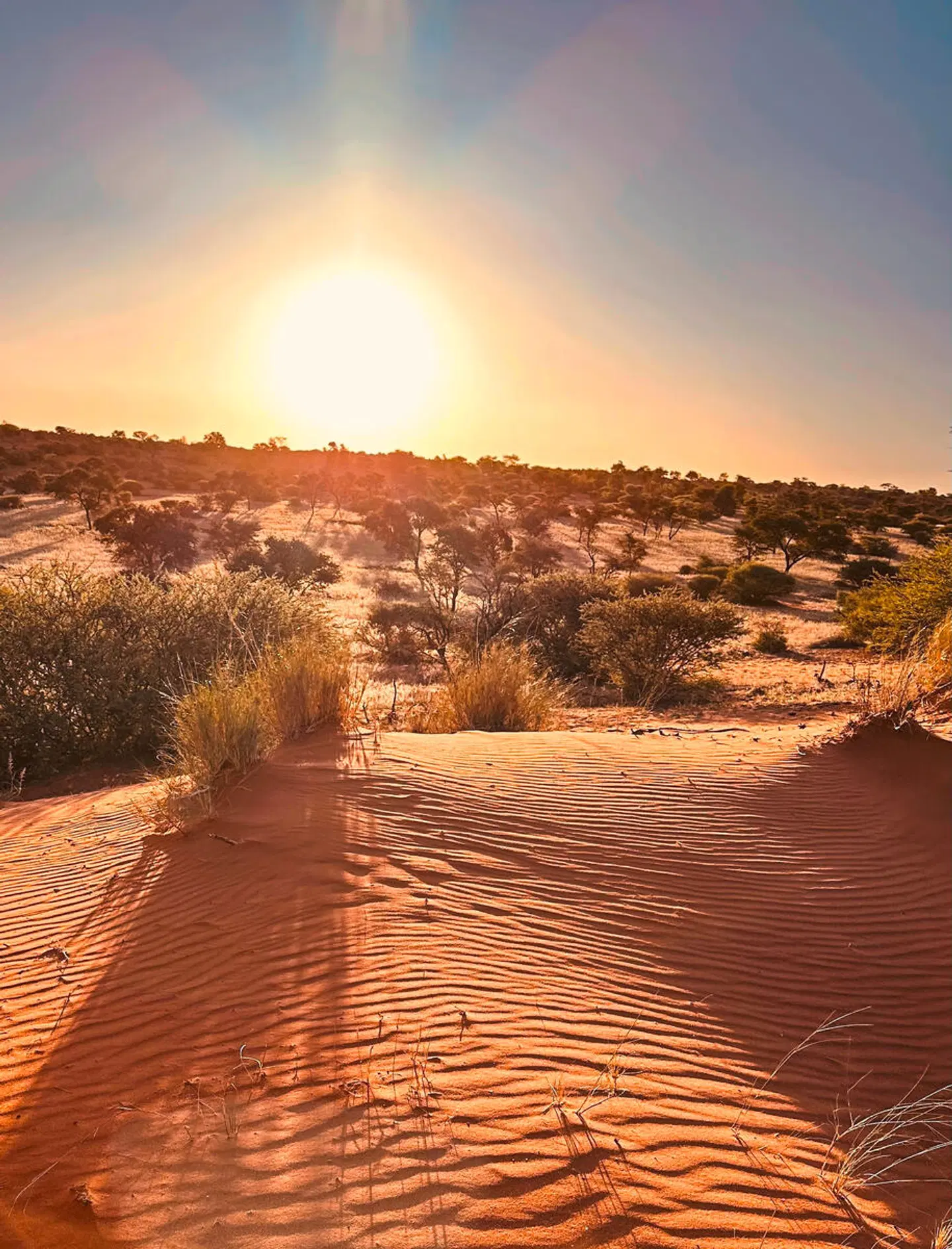 Namibia zum Verweilen LANDSCAPE