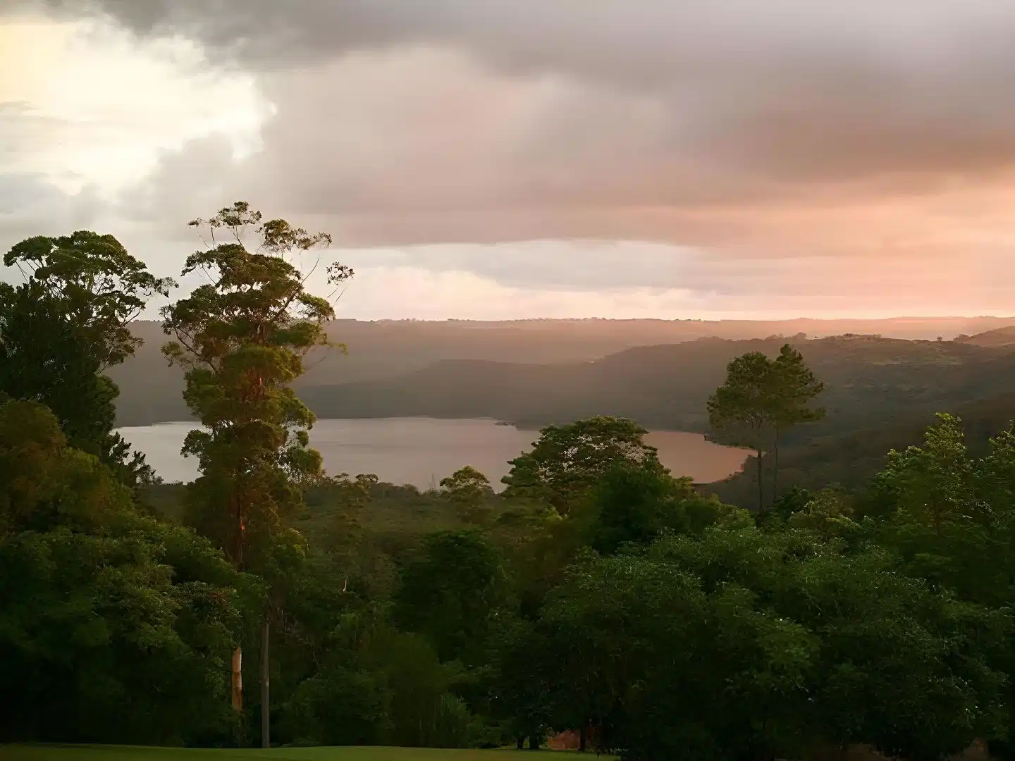 Montville Misty View Cottages – Hotelfoto