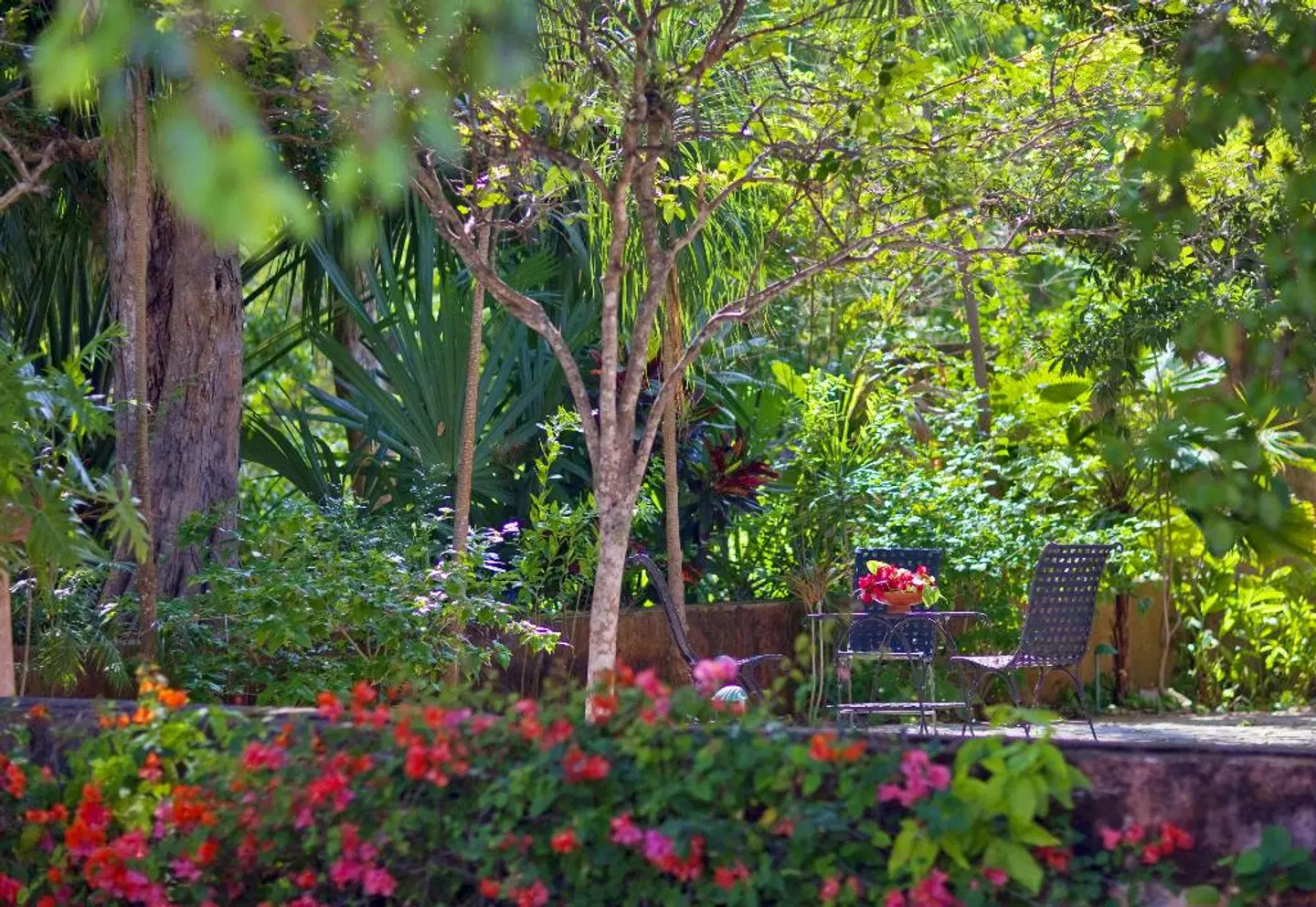 Hacienda Santa Rosa, a Luxury Collection Hotel, Santa Rosa Garten